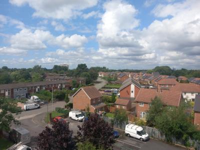 Window view
