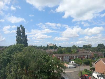 Window view